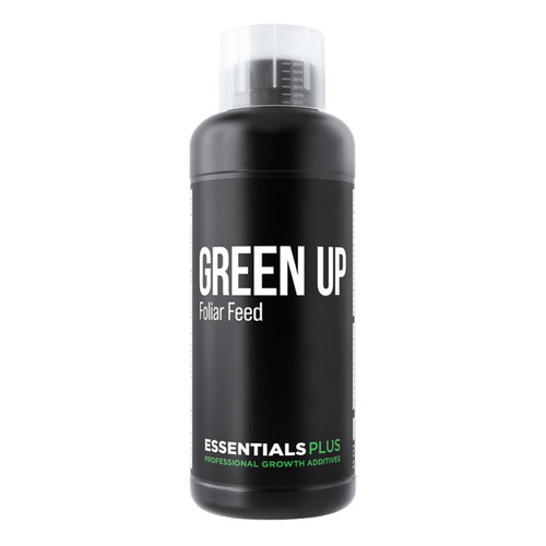 Essentials PLUS GREEN UP