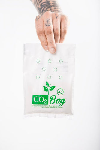 CO2Bag