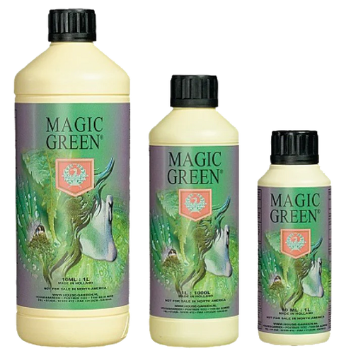 House & Garden Magic Green