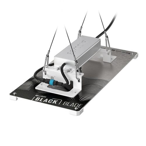 Lumii Black Blade 100W LED