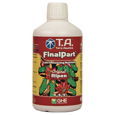 T.A. Final Part (GHE Ripen)