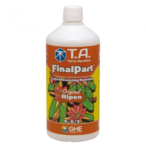 T.A. Final Part (GHE Ripen)