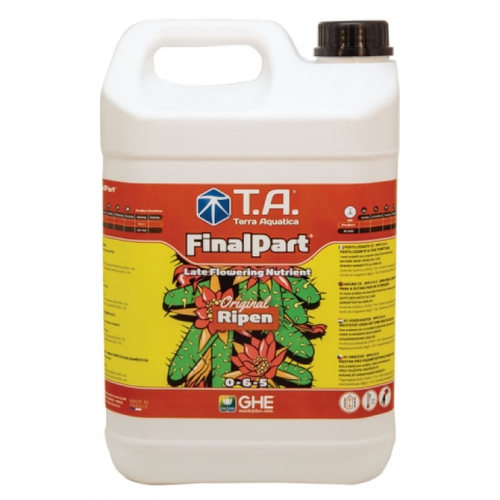 T.A. Final Part (GHE Ripen)