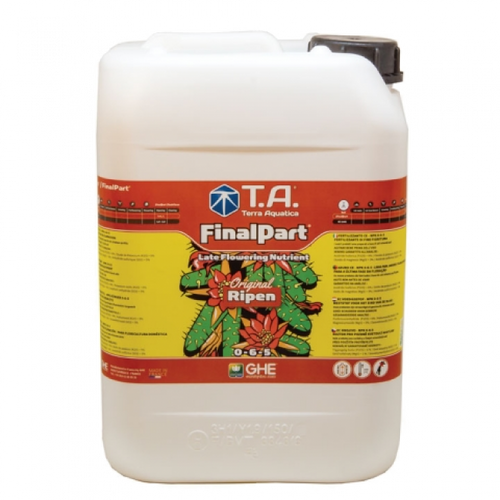 T.A. Final Part (GHE Ripen)