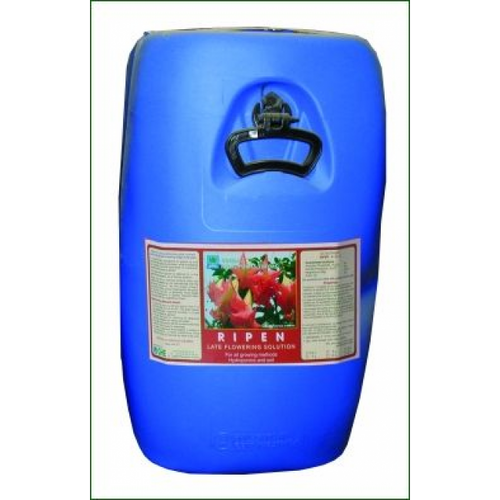 T.A. Final Part (GHE Ripen)