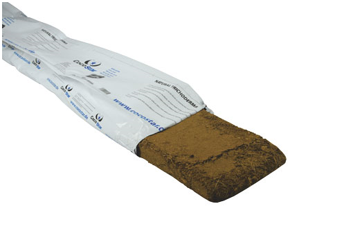 CocoStar Kokosfasermatte, 1 m