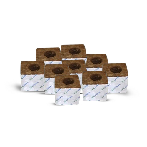 Speedgrow Green, Kulturblock, 7,5 x 7,5 x 6,5 cm, großes Loch 38/35 mm