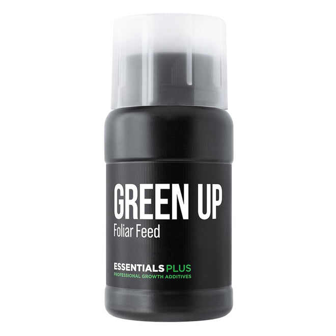 Essentials PLUS GREEN UP