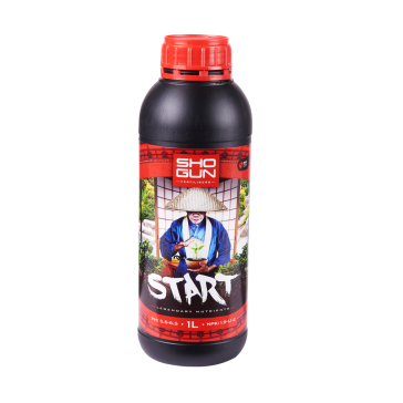 Shogun Start