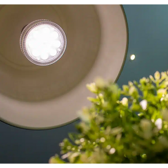 E27 LED 4000K Grow Light