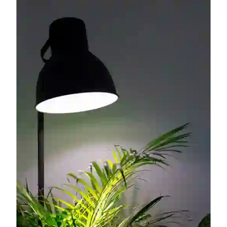 E27 LED 4000K Grow Light