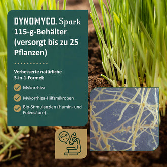 DYNOMYCO Spark