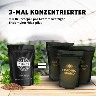 DYNOMYCO Mykorrhiza Granulat 100g
