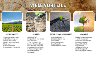 DYNOMYCO Mykorrhiza Granulat 100g