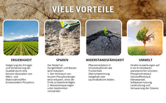 DYNOMYCO Mykorrhiza Granulat 340g.