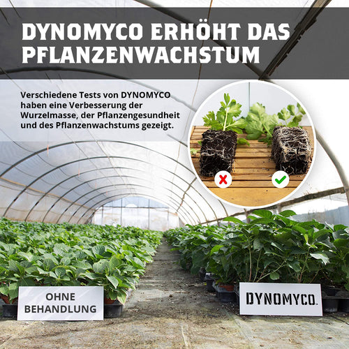 DYNOMYCO Mykorrhiza Granulat 100g