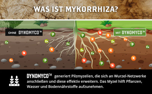 DYNOMYCO Mykorrhiza Granulat 200g Stick