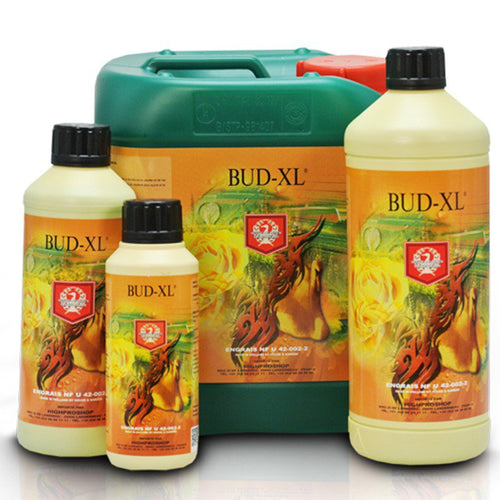 House & Garden Bud-XL