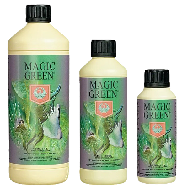 House & Garden Magic Green