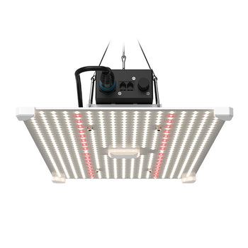 LUMII BLACK BLADE 200W LED