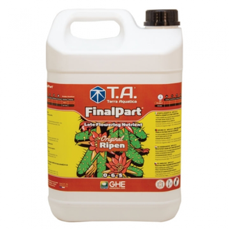 T.A. Final Part (GHE Ripen)