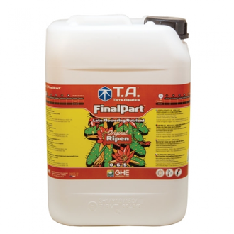 T.A. Final Part (GHE Ripen)