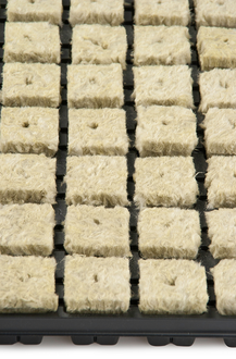 Grodan Anzuchtmatte SBS 36/77, inkl. Plastikuntersatz, mit 77 Anzuchtwürfel