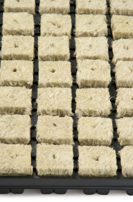 a sample image