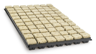 Grodan Anzuchtmatte SBS 36/77, inkl. Plastikuntersatz, mit 77 Anzuchtwürfel