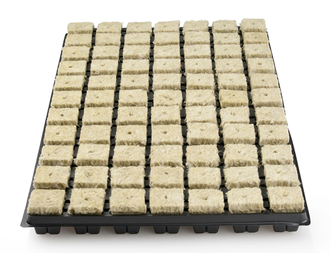 Grodan Anzuchtmatte SBS 36/77, inkl. Plastikuntersatz, mit 77 Anzuchtwürfel