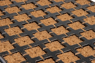 Eazy Plug®, Stecklingsblöcke, Tray à 77 Stk., 53 x 31 x 3 cm, Würfelgröße 3,5 x 3,5 cm