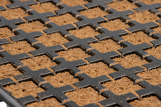 Eazy Plug®, Stecklingsblöcke, Tray à 77 Stk., 53 x 31 x 3 cm, Würfelgröße 3,5 x 3,5 cm