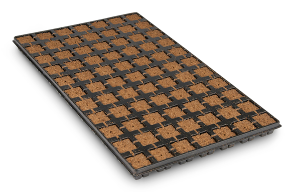 Eazy Plug®, Stecklingsblöcke, Tray à 77 Stk., 53 x 31 x 3 cm, Würfelgröße 3,5 x 3,5 cm