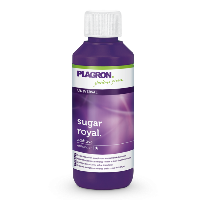 Plagron Sugar Royal 100 ml