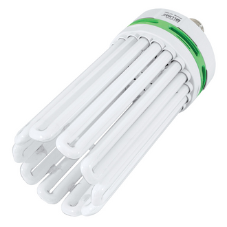 EnviroGro CFL Lampe Cool  6400K, 300 W