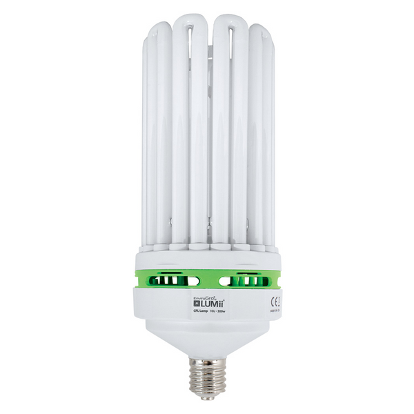 EnviroGro CFL Lampe Cool  6400K, 300 W