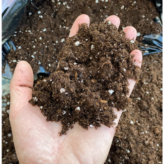 Jiffy Pro7 Light, torfhaltiger Light-mix mit Perlite, 50 L