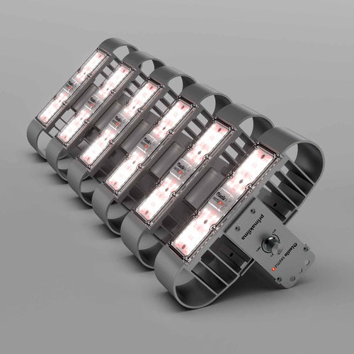Shuttle6 LED-Pflanzenleuchte, schwarz 240 W